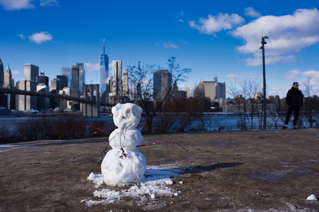 Winter Wonderland in NYC: A Snowy Surprise