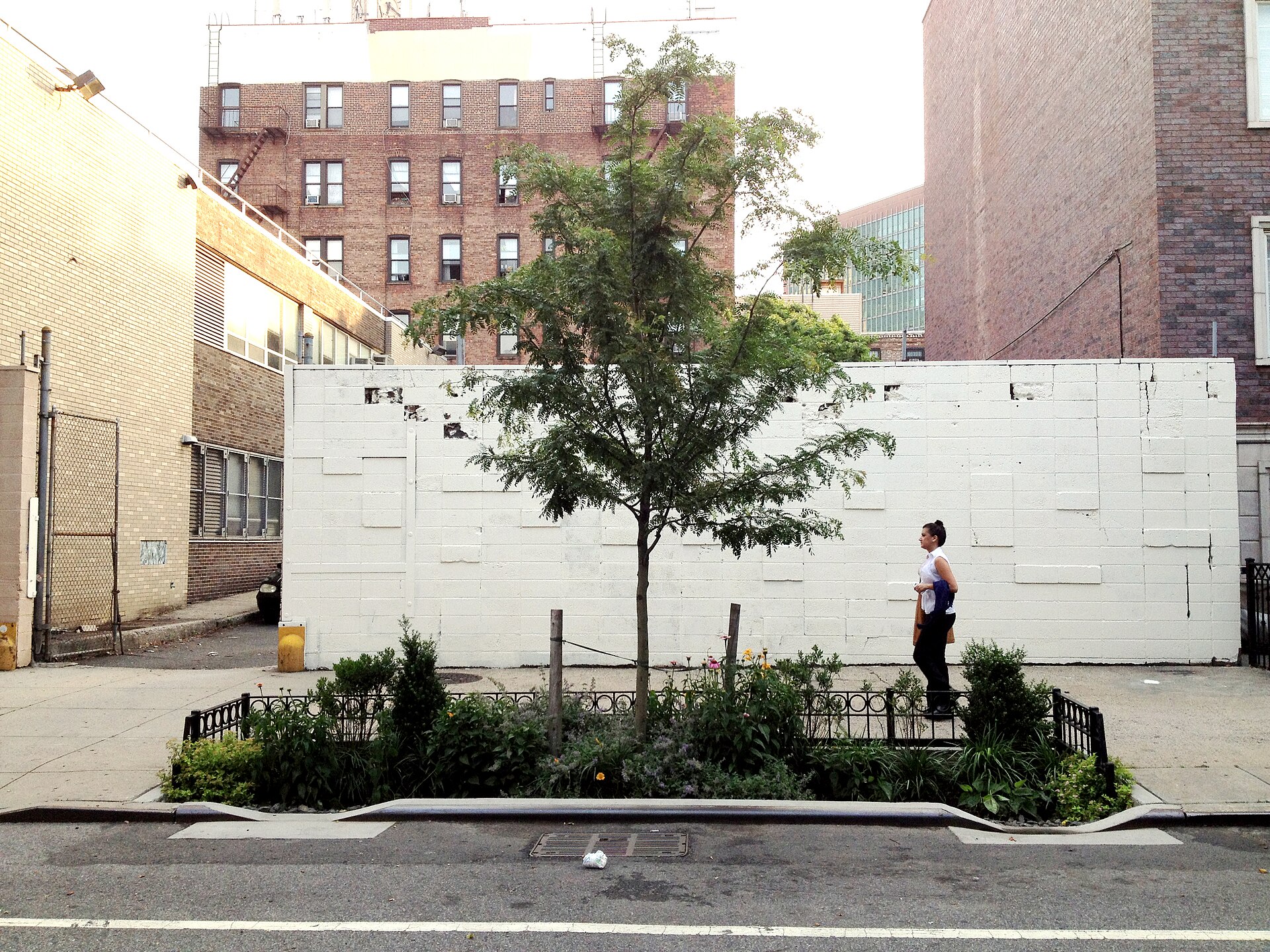 DEP Seeks Designers for Rain Gardens in Parks and at Street Ends